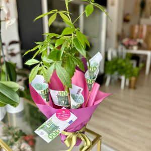 WhatsApp Görsel 2025-01-28 saat 11.26.22_57fb4fb6
