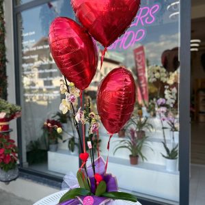 Uçan Balonlu Orkide Aranjmanı